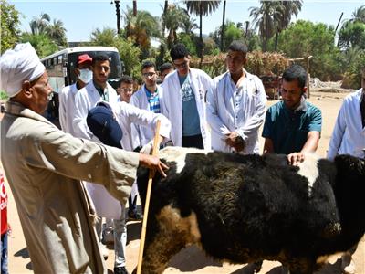 جامعة سوهاج تواصل قوافلها البيطرية المجانية بقرية الشيخ مسعود