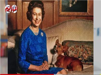 قصة متطفل دخل حجرة نوم الملكة " إليزابيث " وتنزه في باكنجهام لمدة «نصف ساعة» | فيديو 
