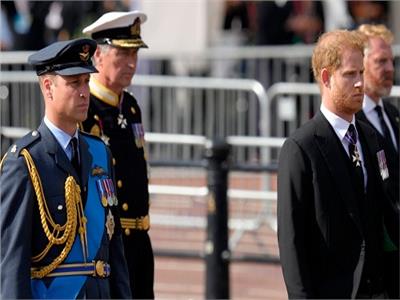 الأمير هاري والأمير ويليام خلال جنازة الملة إليزابيث