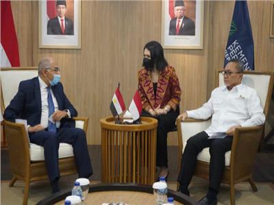 سفير مصر في جاكرتا يلتقي بوزير التجارة الإندونيسي