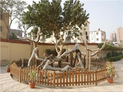 شجرة مريم - صورة موضوعية