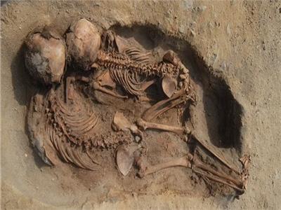  مقابر لـ76 طفلاً في البيرو قُدّموا كأضاح من العصر قبل الكولومبي