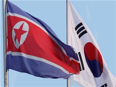 علما كوريا الجنوبية وكوريا الشمالية