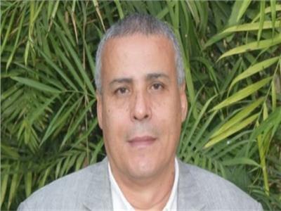 عماد قناوي رئيس شعبة المستوردين بغرفة القاهرة التجارية