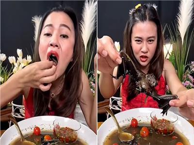 تايلاندية تتناول حساء الخفافيش