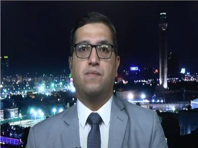 الدكتور أسامة السعيد، المحلل السياسي