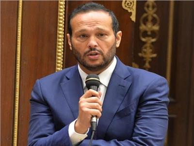 محمد حلاوة رئيس لجنة الصناعة والتجارة بمجلس الشيوخ