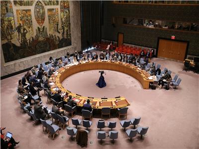 مجلس الأمن الدولي