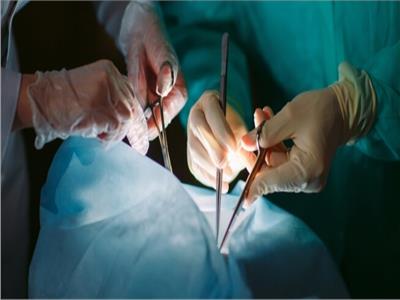 مصر تستعد طبيًا لدخول مجال «زراعة الأعضاء» بـ70 ألف عملية | تفاصيل