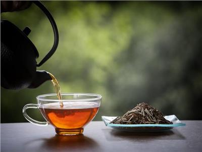 4 أنواع من الشاي مغذية.. أبرزها الأبيض