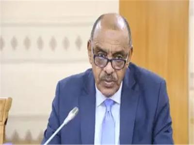 وزير الخارجية السوداني علي الصادق علي