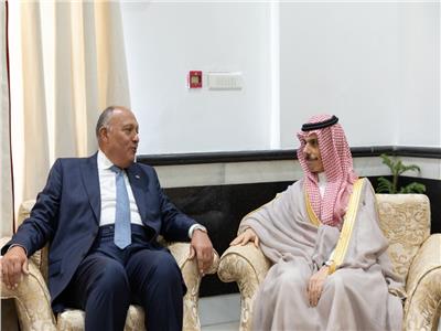 وزير خارجية المصري سامح شكري ونظيره السعودي الأمير فيصل بن فرحان - أرشيفية