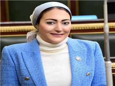 النائبة أسماء الجمال عضو لجنة العلاقات الخارجية بمجلس النواب