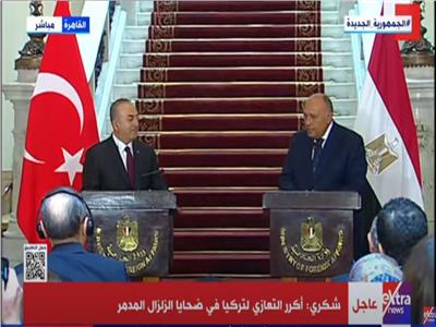 وزير الخارجية المصري سامح شكري ونظيره التركي 