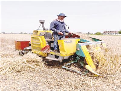 المعدات الحديثة أثناء عملها خلال موسم الحصاد