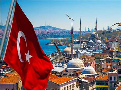 تركيا تعاني مشكلات اقتصادية عديدة