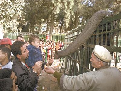 فى القاهرة والمحافظات.. ملايين المصريين يحتفلون بأول أيام العيد 