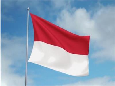 إندونيسيا تؤكد التزامها بالإشراف على إنجازات آسيان خلال فترة رئاستها للرابطة