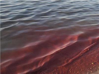 تغير لون مياه البحر الأحمر
