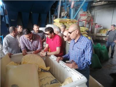 ضبط نصف طن من الأقماح المحلية داخل مصنع لتصنيع الاعلاف بطنطا