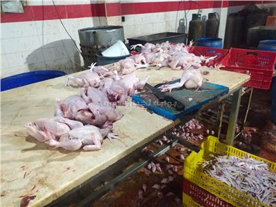 ضبط  5 أطنان من الدجاج الفاسد بمجزر غير مرخص بالشرقية