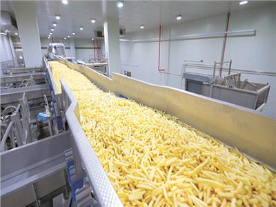 مصنع جديد لإنتاج وزراعة البطاطس