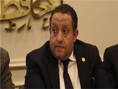  محمد عبد الغني، مقرر لجنة مباشرة الحقوق السياسية