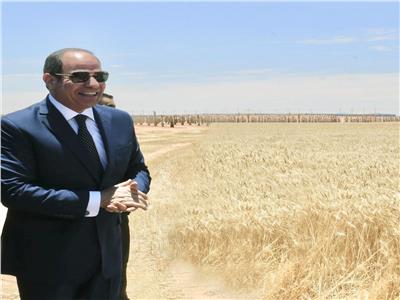 الرئيس السيسي خلال افتتاح موسم حصاد القمح