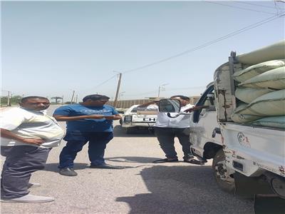 القمح المضبوط