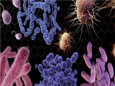 مقاومة الميكروبات للمضادات الحيوية