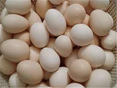 أسعار البيض اليوم السبت 3 يونيو