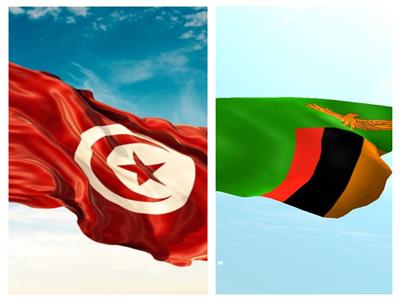 تونس وزامبيا تبحثان سبل تطوير التعاون المشترك