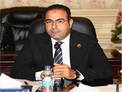  الدكتور محمود حسين، رئيس لجنة الشباب والرياضة بمجلس النواب