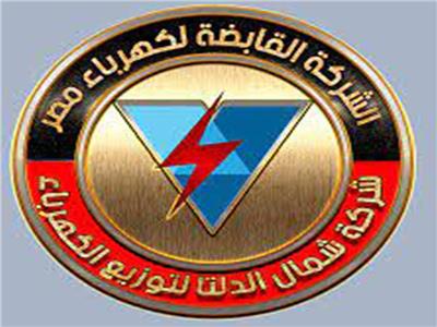 شعار شركة شمال الدلتا لتوزيع الكهرباء