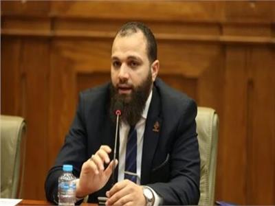  النائب محمود تركي، عضو مجلس الشيوخ