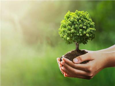  مبادرة «100 مليون شجرة»