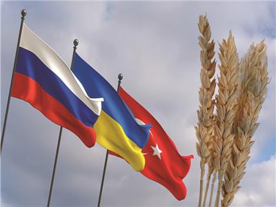 اتفاق تصدير الحبوب الأوكرانية
