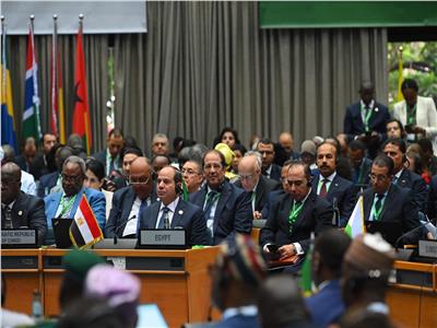 الرئيس السيسي خلال فعاليات قمة منتصف العام التنسيقية التابعة للاتحاد الإفريقي