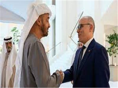 الرئيس الإماراتي ووزير الخارجية التونسي