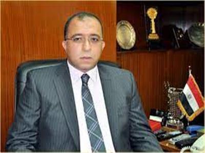 الدكتور أشرف العربي رئيس معهد التخطيط القومي
