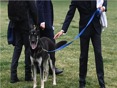 كلب الرئيس الأمريكي يهاجم عناصر الخدمة السرية في البيت الأبيض