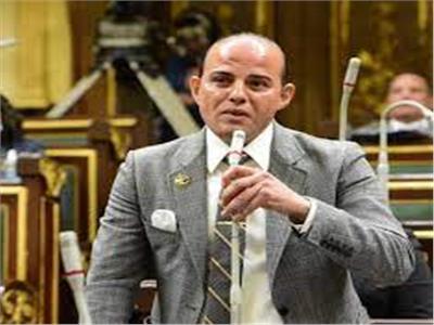النائب عمرو القطامى عضو مجلس النواب
