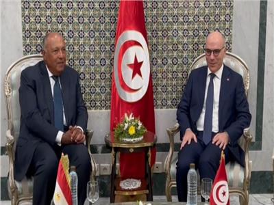 وزير الخارجية مع نظيره التونسى