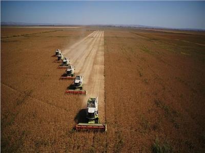 رومانيا تعد بمضاعفة قدرتها على استقبال المنتجات الزراعية الأوكرانية