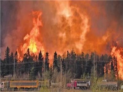 حرائق الغابات في كندا - صورة موضوعية