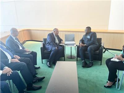 وزير الخارجية سامح شكري مع نظيره من جمهورية سيراليون تيموثي موسى كابا