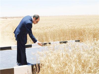 الرئيس عبد الفتاح السيسى رئيس الجمهورية اهتماماً كبيراً  بقطاع الزراعة