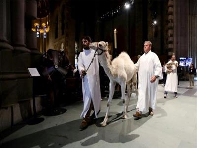 مباركة مئات الحيوانات خلال قداس في إحدى كاتدرائيات نيويورك