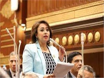 الدكتورة رشا إسحق أمين سر لجنة حقوق الإنسان والتضامن الاجتماعي في مجلس الشيوخ
