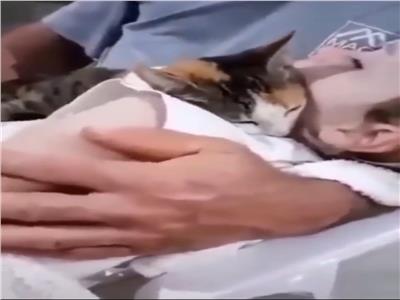 "‏قطة" تقدم الوداع الأخير لصديقها الطفل الفلسطيني الشهيد| فيديو